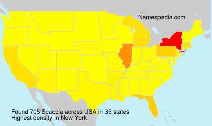 Surname Scaccia in USA Surname Scaccia in USA
