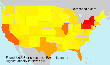 Surname Scalise in USA Surname Scalise in USA