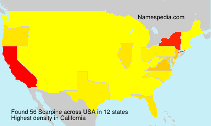 Scarpine Scarpine