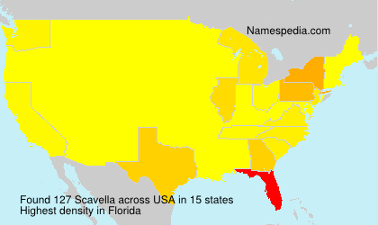 Scavella Scavella