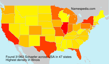 Surname Schaefer in USA Surname Schaefer in USA