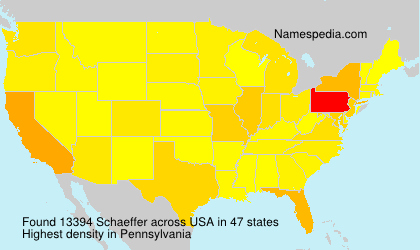 Surname Schaeffer in USA