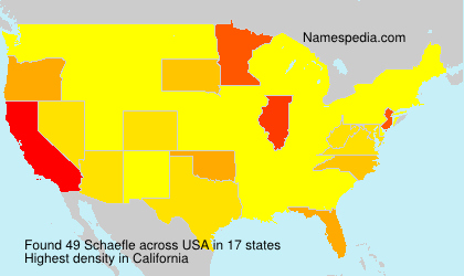 Surname Schaefle in USA Surname Schaefle in USA