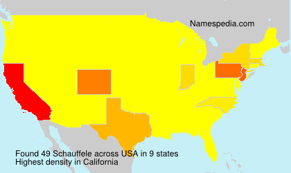 Surname Schauffele in USA Surname Schauffele in USA