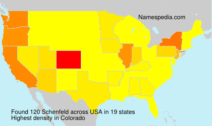 Surname Schenfeld in USA Surname Schenfeld in USA