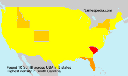 Schilff Schilff