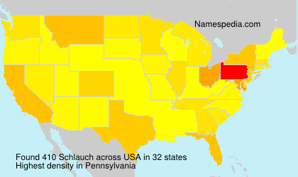 Schlauch Schlauch