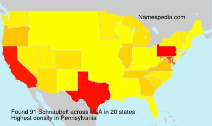 Surname Schnaubelt in USA