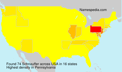 Surname Schnauffer in USA Surname Schnauffer in USA