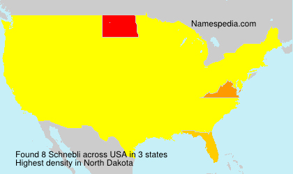 Surname Schnebli in USA Surname Schnebli in USA
