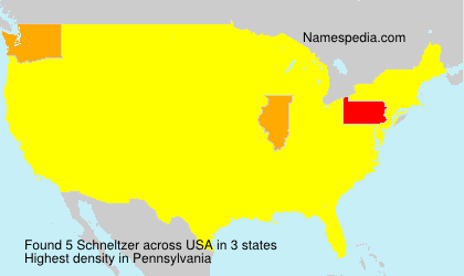 Surname Schneltzer in USA Surname Schneltzer in USA