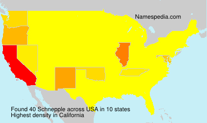 Surname Schnepple in USA