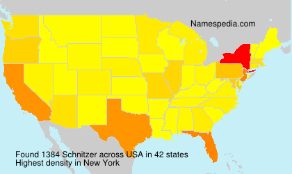 Surname Schnitzer in USA Surname Schnitzer in USA