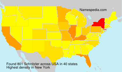 Surname Schnitzler in USA Surname Schnitzler in USA