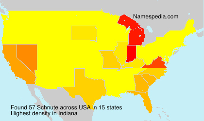 Surname Schnute in USA Surname Schnute in USA