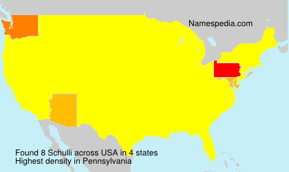 Surname Schulli in USA