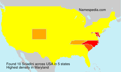 Surname Sciadini in USA Surname Sciadini in USA