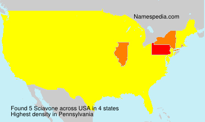 Surname Sciavone in USA Surname Sciavone in USA
