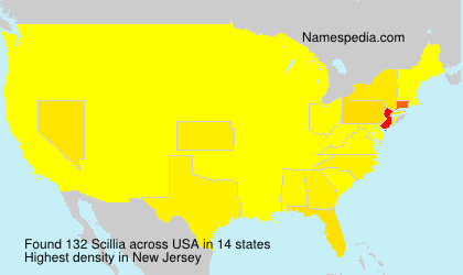 Surname Scillia in USA Surname Scillia in USA