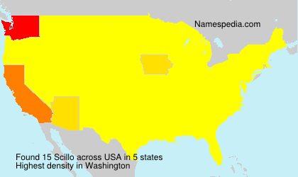 Surname Scillo in USA Surname Scillo in USA