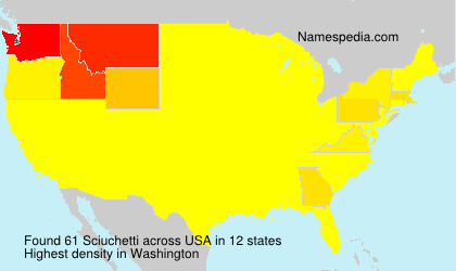 Surname Sciuchetti in USA Surname Sciuchetti in USA