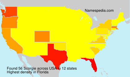 Surname Scorgie in USA Surname Scorgie in USA