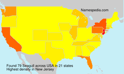 Surname Seagull in USA Surname Seagull in USA