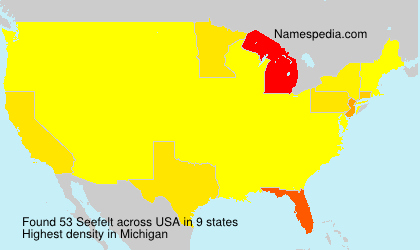 Surname Seefelt in USA Surname Seefelt in USA