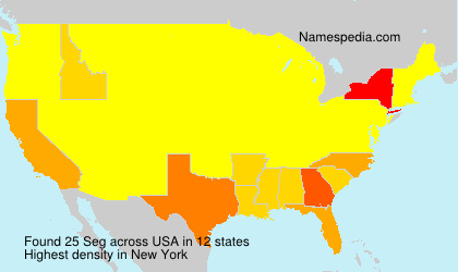 Surname Seg in USA Surname Seg in USA