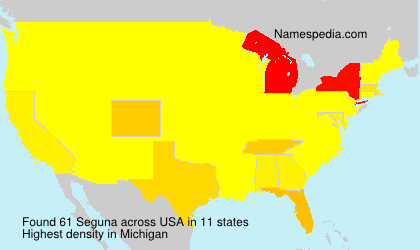 Surname Seguna in USA Surname Seguna in USA