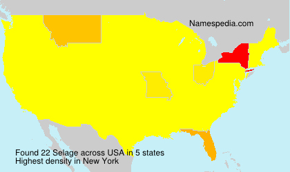 Surname Selage in USA Surname Selage in USA