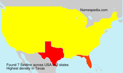 Surname Seldine in USA Surname Seldine in USA