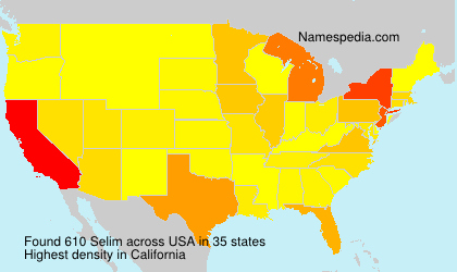 Surname Selim in USA Surname Selim in USA