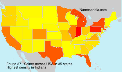 Surname Selner in USA Surname Selner in USA