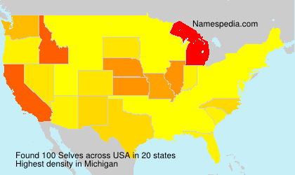 Surname Selves in USA Surname Selves in USA