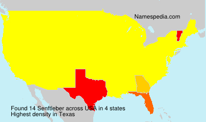 Surname Senftleber in USA