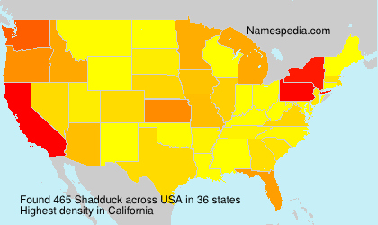 Shadduck Shadduck