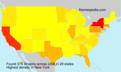 Shapira Shapira