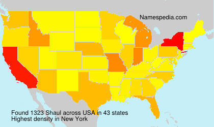 Surname Shaul in USA Surname Shaul in USA