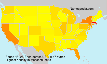 Shea Shea