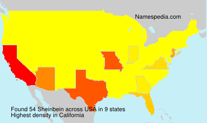 Surname Sheinbein in USA Surname Sheinbein in USA