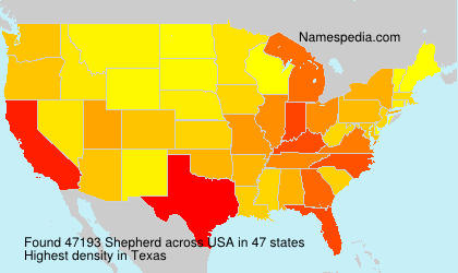 Shepherd Shepherd