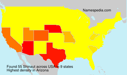 Surname Shinaut in USA
