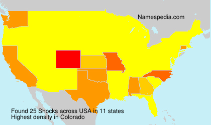 Surname Shocks in USA Surname Shocks in USA
