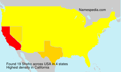 Surname Shoho in USA