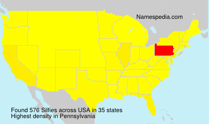 Surname Silfies in USA Surname Silfies in USA