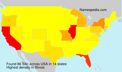 Surname Silic in USA Surname Silic in USA