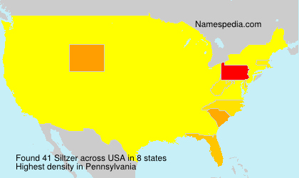 Siltzer Siltzer