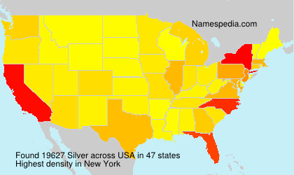 Surname Silver in USA