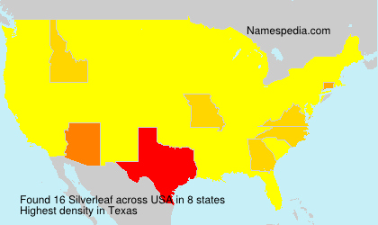 Surname Silverleaf in USA Surname Silverleaf in USA